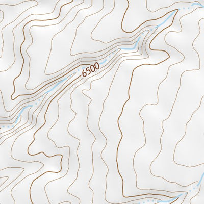 35110NE Page 21 Polacca Topo Preview 2