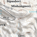 35110NE Page 37 Polacca Topo Preview 3