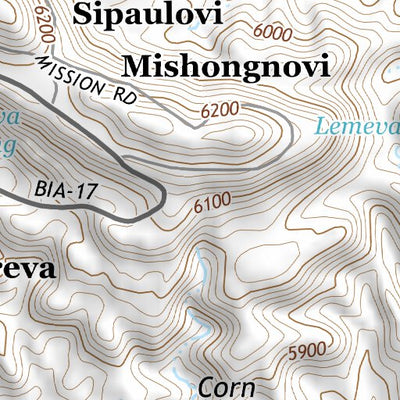 35110NE Page 37 Polacca Topo Preview 3