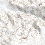 35110NE Page 59 Polacca Topo Preview 3