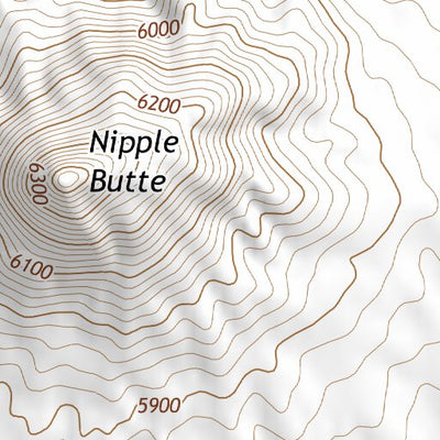 35110NE Page 99 Polacca Topo Preview 3