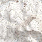 35110NE Page 100 Polacca Topo Preview 3