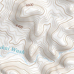 35110NE Page 101 Polacca Topo Preview 3
