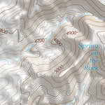35111NE Page 7 Cameron Topo Preview 3