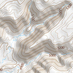 35111NE Page 46 Cameron Topo Preview 3