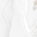 35111NE Page 47 Cameron Topo Preview 2