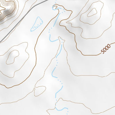 35111NE Page 84 Cameron Topo Preview 2