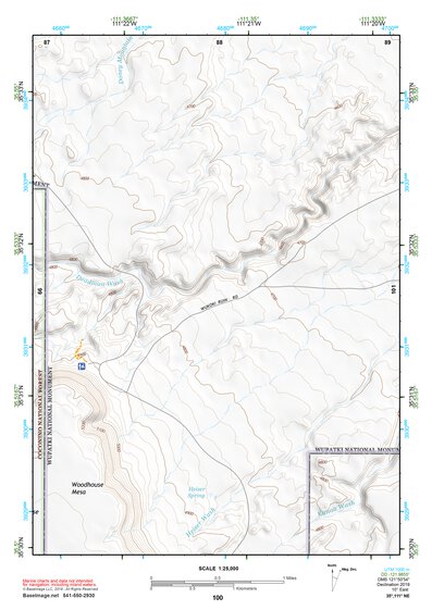 35111NE Page 100 Cameron Topo Preview 1
