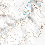 35111NE Page 101 Cameron Topo Preview 3