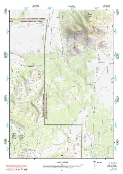 35111SW Page 4 Flagstaff Topo Preview 1