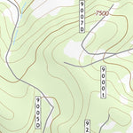 35111SW Page 6 Flagstaff Topo Preview 3