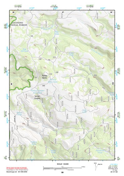 35111SW Page 99 Flagstaff Topo Preview 1