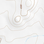 35112SE Page 31 Williams Topo Preview 2