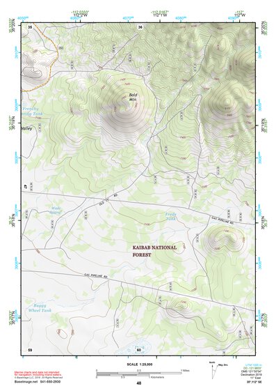 35112SE Page 48 Williams Topo Preview 1