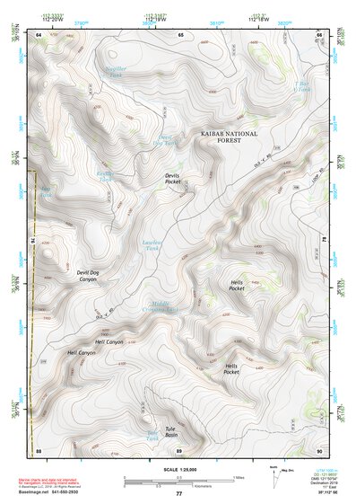 35112SE Page 77 Williams Topo Preview 1