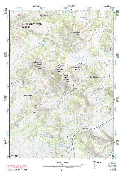 35112SE Page 80 Williams Topo Preview 1