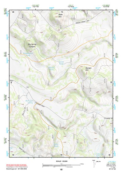 35112SE Page 82 Williams Topo Preview 1
