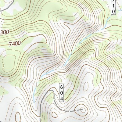 35112SE Page 82 Williams Topo Preview 3