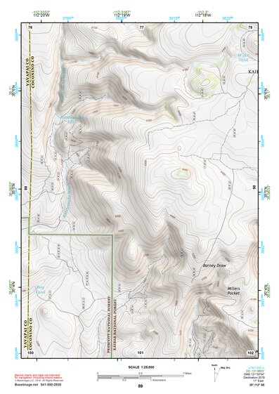 35112SE Page 89 Williams Topo Preview 1