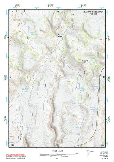 35112SE Page 91 Williams Topo Preview 1