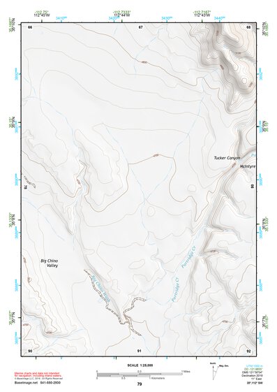 35112SW Page 79 Williams Topo Preview 1