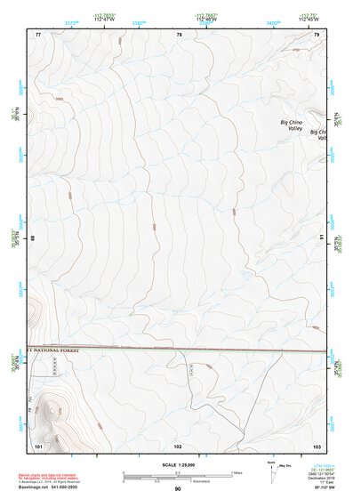 35112SW Page 90 Williams Topo Preview 1