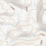 35112SW Page 100 Williams Topo Preview 2