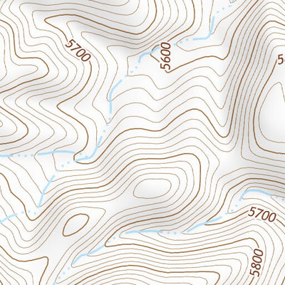 35112SW Page 100 Williams Topo Preview 2
