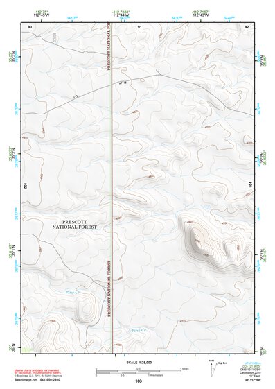 35112SW Page 103 Williams Topo Preview 1