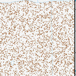 35115NE Page 42 Mesquite Lake Topo Preview 3