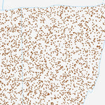 35115NE Page 43 Mesquite Lake Topo Preview 3