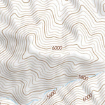 35115NE Page 80 Mesquite Lake Topo Preview 2