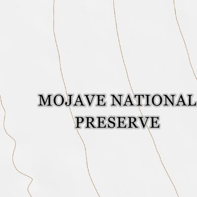 35115SW Page 38 Ivanpah Topo Preview 2