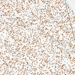 35116SE Page 71 Soda Mountains Topo Preview 3