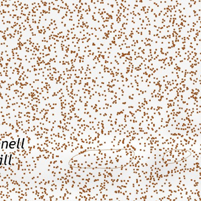 35116SE Page 83 Soda Mountains Topo Preview 2