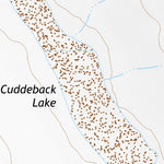 35117SE Page 49 Cuddeback Lake Topo Preview 2
