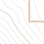 35117SE Page 99 Cuddeback Lake Topo Preview 2
