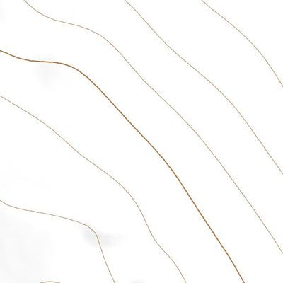 35119NW Page 91 Delano Topo Preview 2