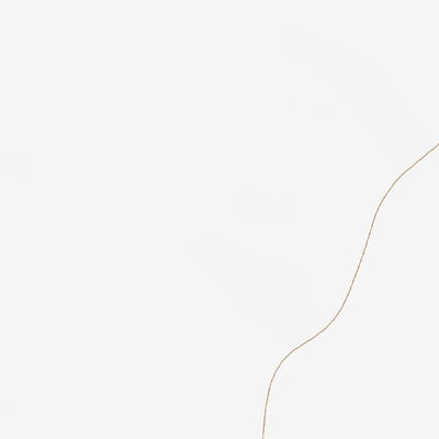 35120NE Page 47 Paso Robles Topo Preview 2