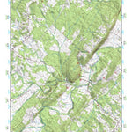 (36079e1) Page 025 Danville Preview 1