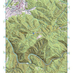 (36082a1) Page 079 Johnson City Preview 1