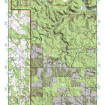 (36091e1) Page 052 West Plains Preview 1