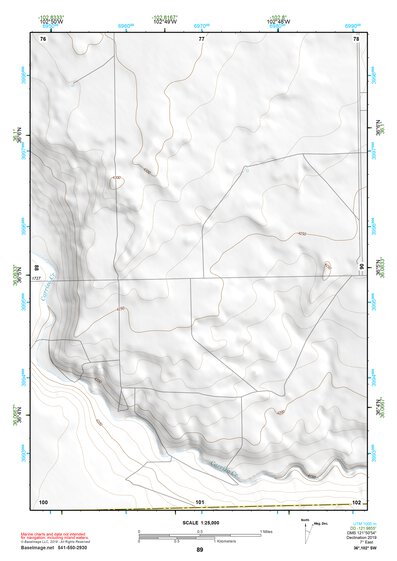 36102SW Page 89 Dalhart Topo Preview 1
