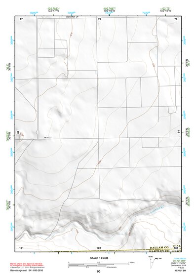 36102SW Page 90 Dalhart Topo Preview 1