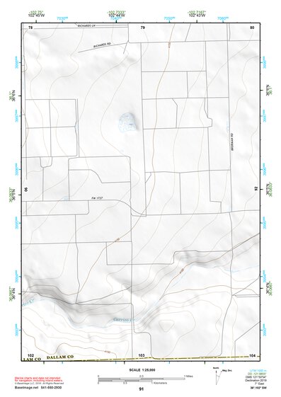 36102SW Page 91 Dalhart Topo Preview 1