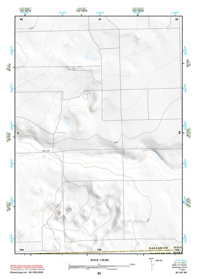 36102SW Page 93 Dalhart Topo Preview 1