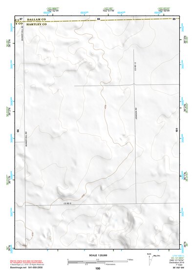 36102SW Page 100 Dalhart Topo Preview 1