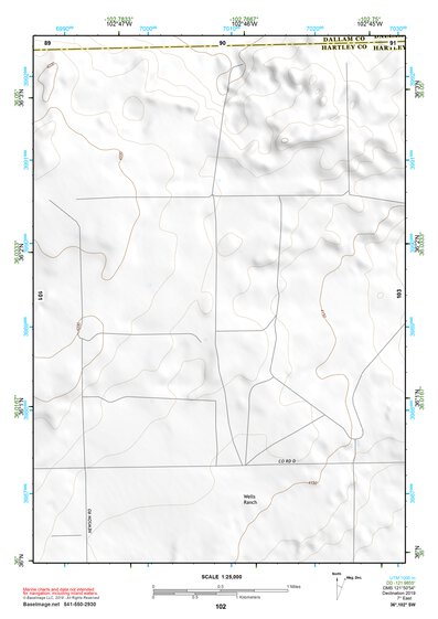 36102SW Page 102 Dalhart Topo Preview 1