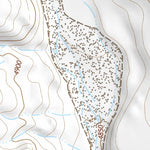 36103SE Page 43 Clayton Topo Preview 3