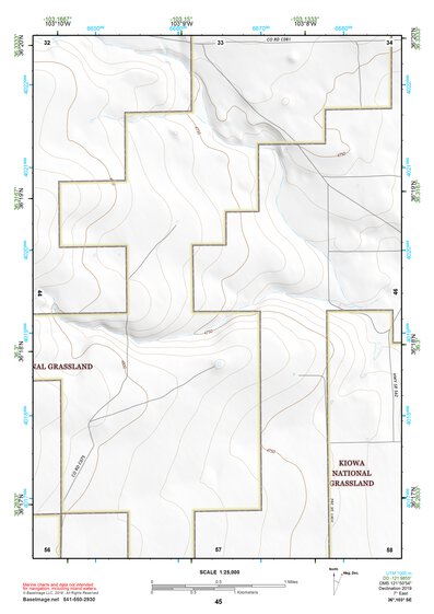 36103SE Page 45 Clayton Topo Preview 1